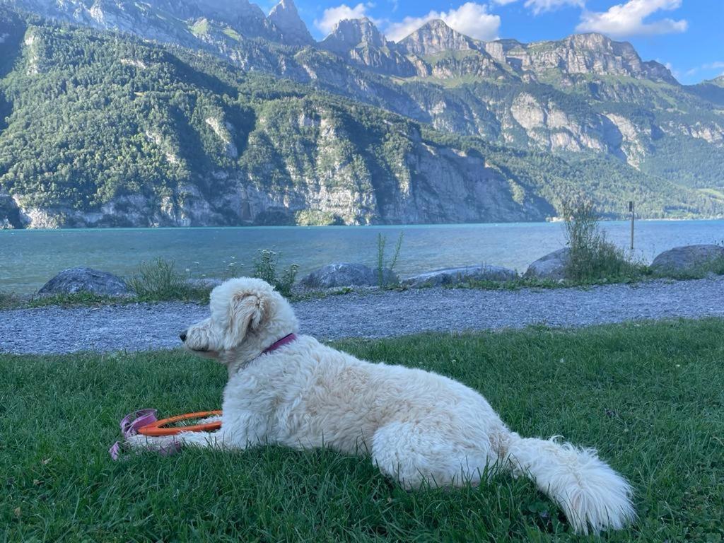 Doodle'S Amazing Chalet -Walensee - Flumserberg - Churfirsten - Heidiland - Pool - Sauna Mols Exteriér fotografie