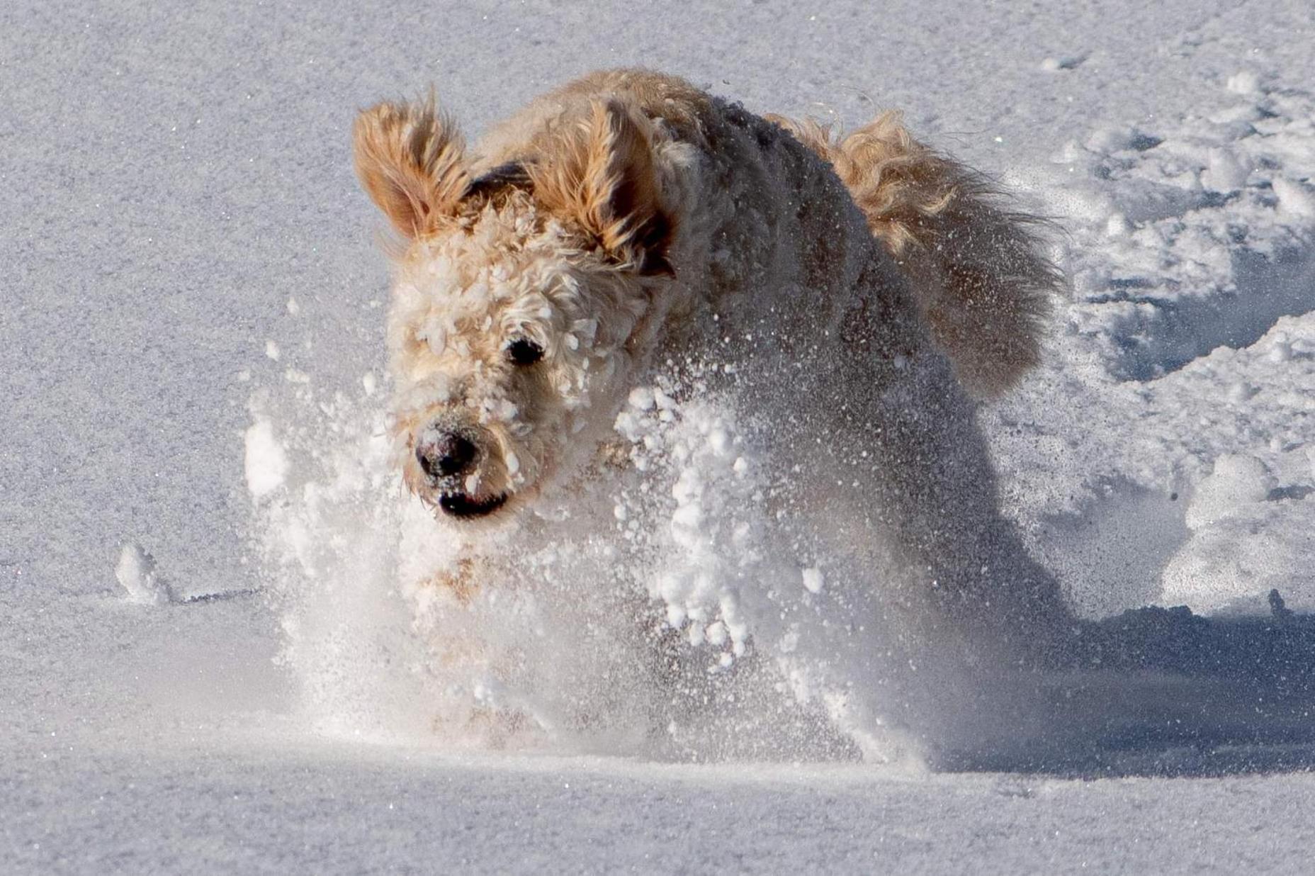 Doodle'S Amazing Chalet -Walensee - Flumserberg - Churfirsten - Heidiland - Pool - Sauna Mols Exteriér fotografie