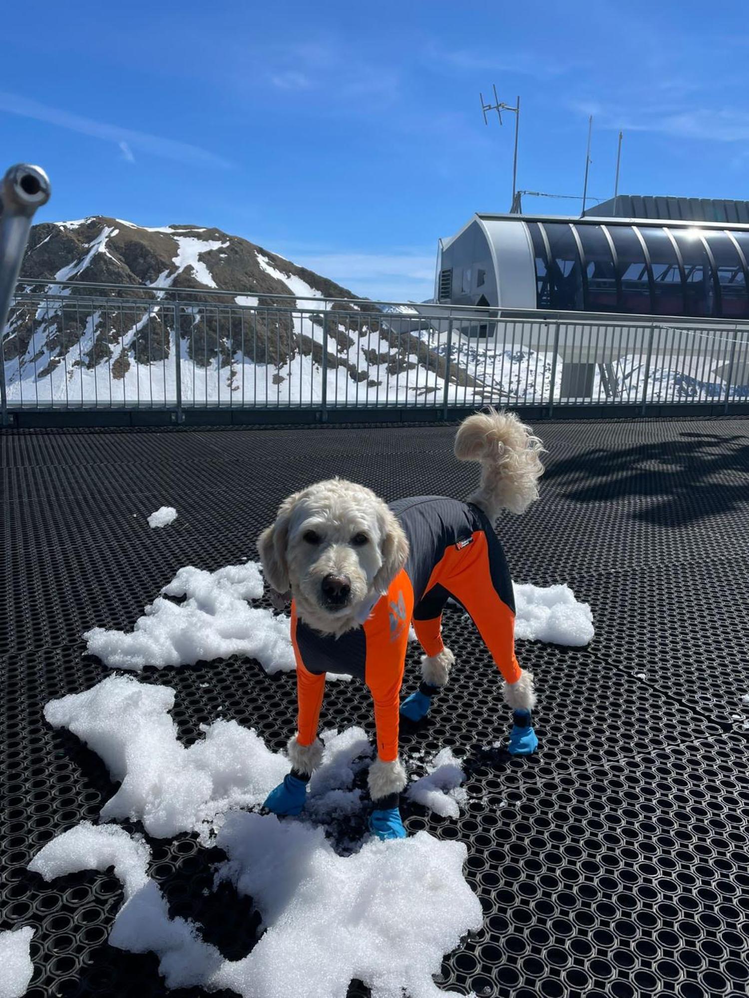 Doodle'S Amazing Chalet -Walensee - Flumserberg - Churfirsten - Heidiland - Pool - Sauna Mols Exteriér fotografie